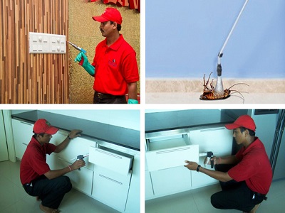 pest control in ranchi